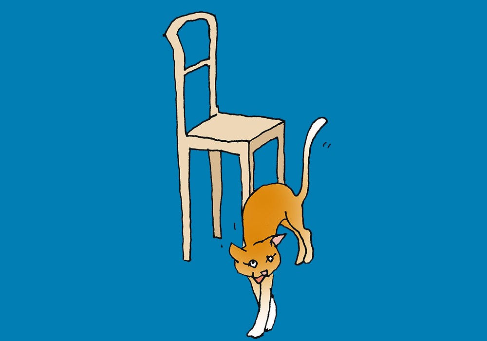 A cat rubs itself on the leg of a chair