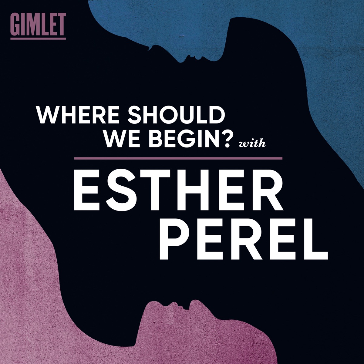 Logo Where Should We Begin? Podcast