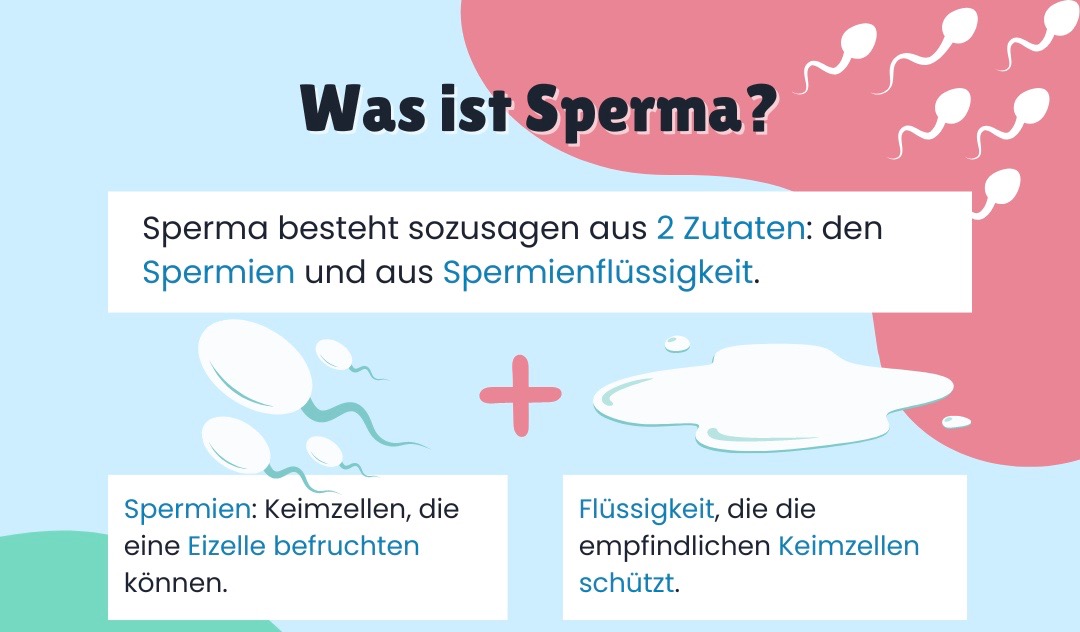 Titel: Was ist Sperma? Darunter steht: Sperma besteht sozusagen aus 2 Zutaten: den Spermien und aus Spermienflüssigkeit.  Darunter ist eine Zeichnung von vier Spermien, unter der steht: Spermien: Keimzellen, die eine Eizelle befruchten können. Und eine weitere Zeichnung einer Flüssigkeit, unter welcher steht: Flüssigkeit, die die empfindlichen Keimzellen schützt.