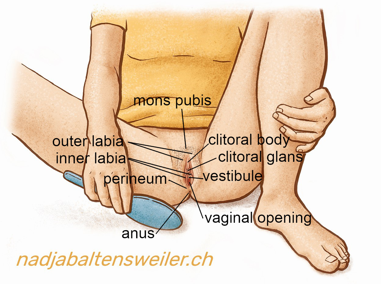 The vagina