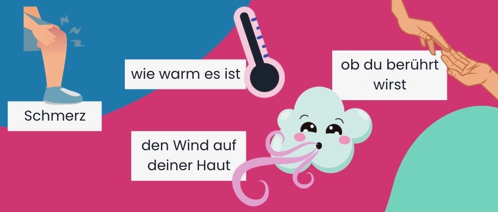 Kleine Bilder verschiedener Dinge, die man spüren kann: - Schmerz - wie warm es ist - den Wind auf deiner Haut - ob du berührt wirst